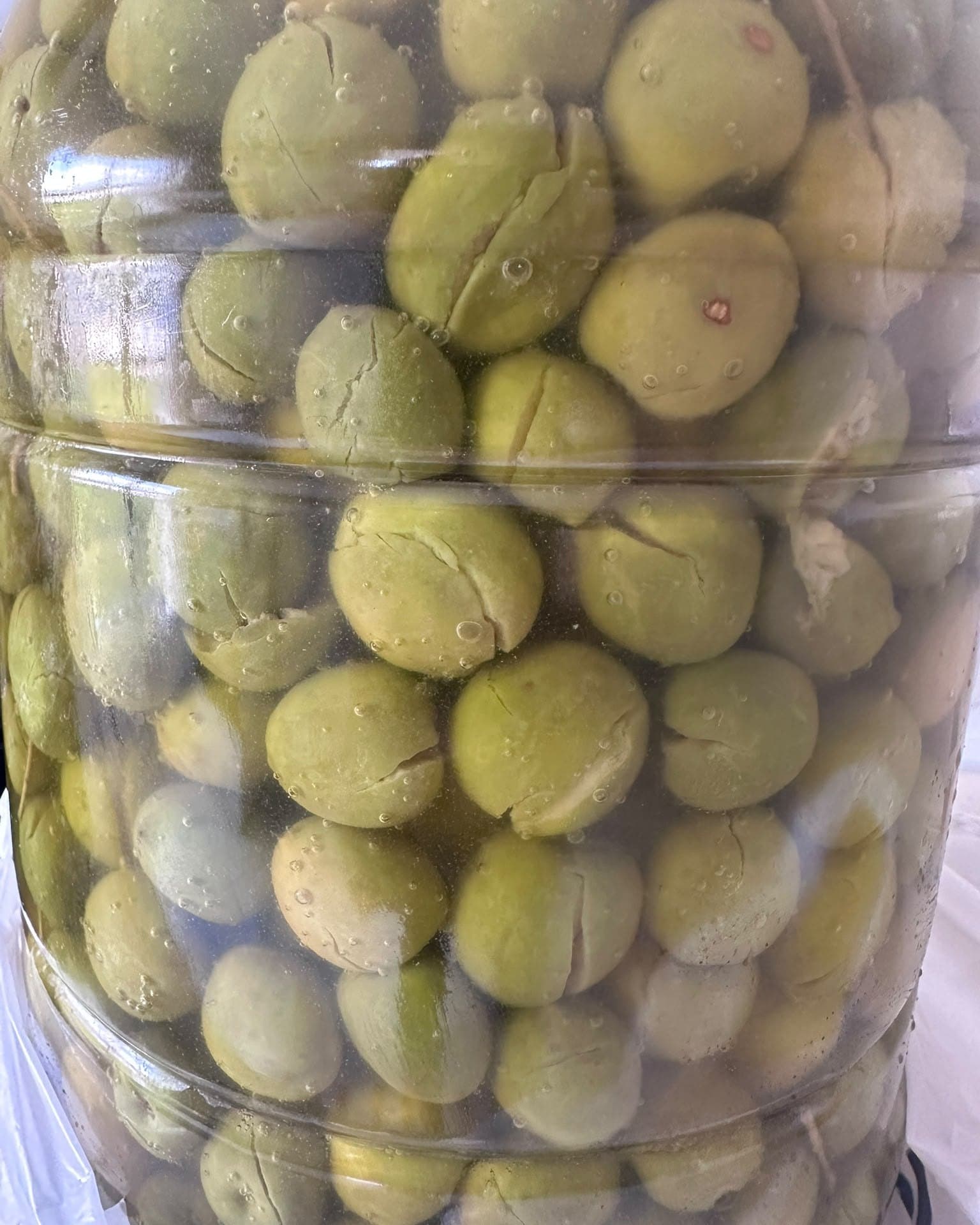 Derekuyu Topakaşı Zeytin (3 KG) — kavanozda yakından görünüm