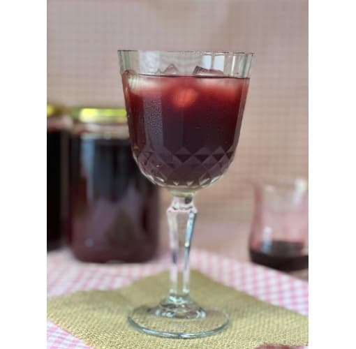 Merlot Üzüm Şerbeti (660 cc)