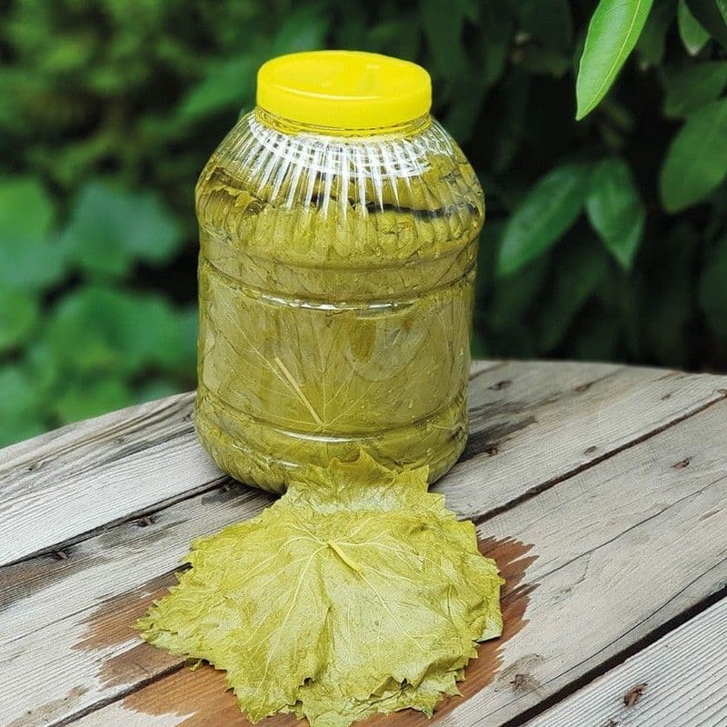 Salamura Yaprak (1 KG)