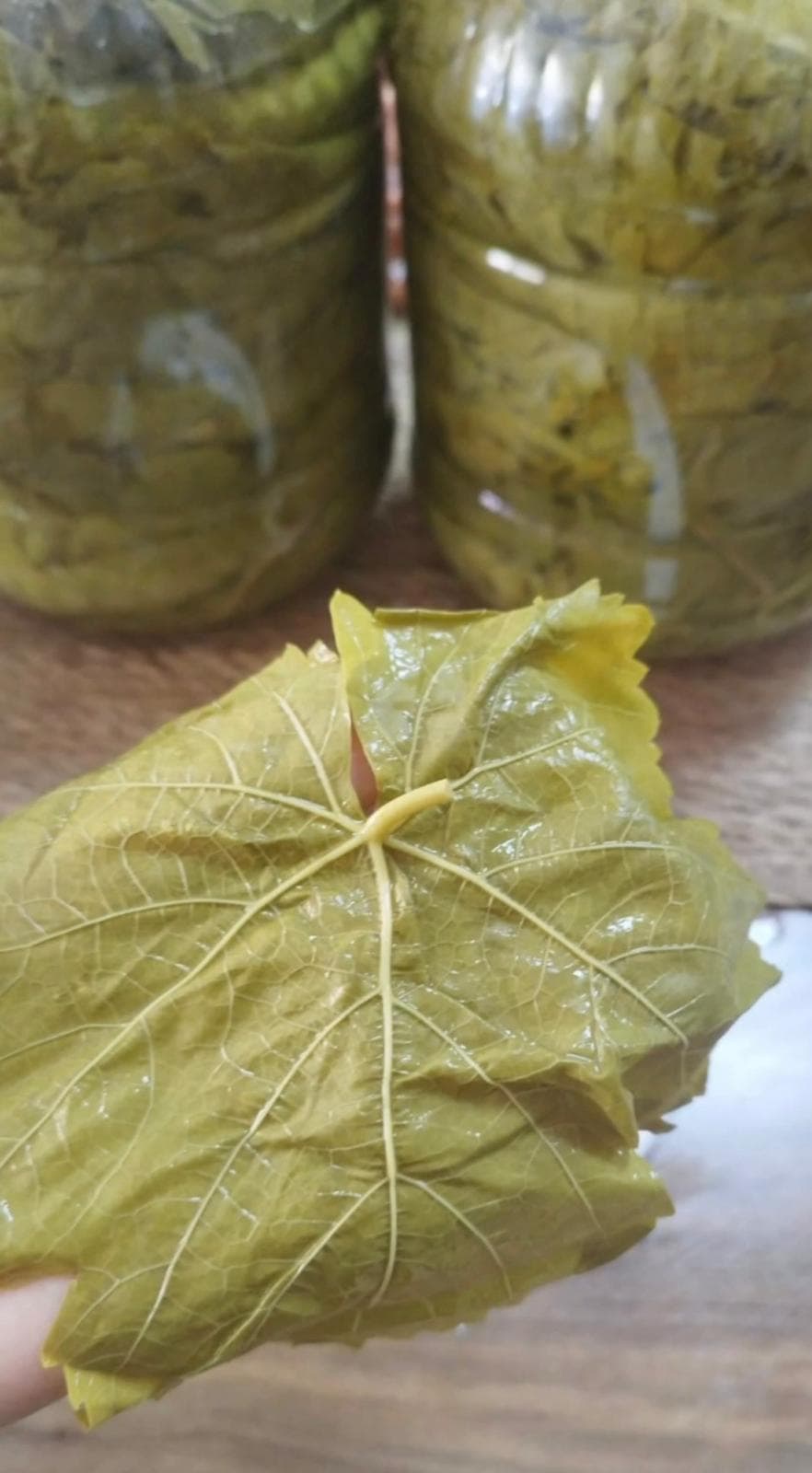 Asma Yaprağı (3 KG) — görsel 2